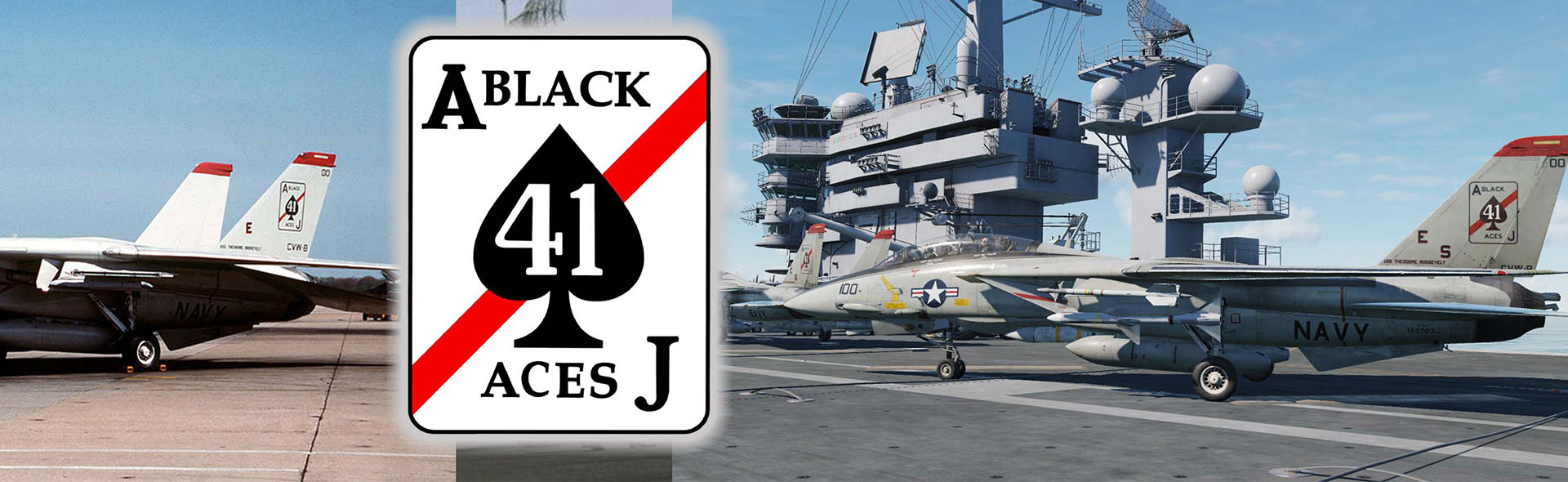 1/200 CVN-65 Enterprise deck + 4' Legendary F-14 Tomcat series